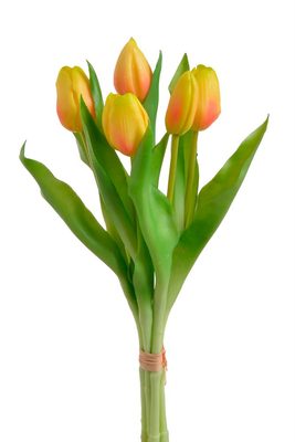 Svazek tulipánů 5 ks - žlutá s oranžovou{% if product.brand.name %} – Canea{% endif %}