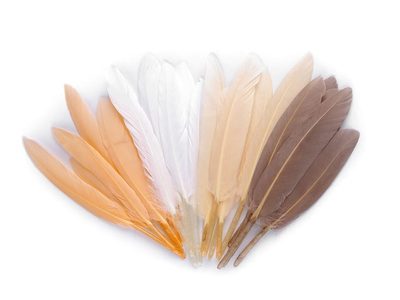 Kachní peří délka  9-14 cm balení 20 kusů v sáčku{% if product.brand.name %} – Stoklasa{% endif %}