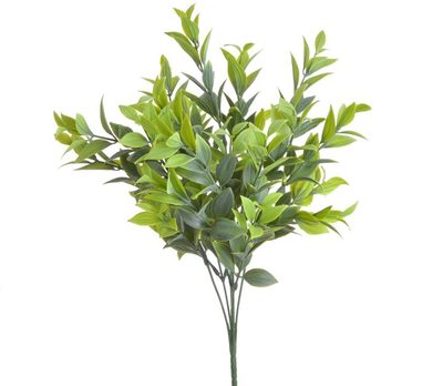 Umělý ruscus světle zelený 36 cm{% if product.brand.name %} – Canea{% endif %}