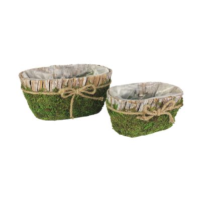 Květináč k osázení, sada 2ks P1253 - 18 x 11 x 9 cm{% if product.brand.name %} – Morex{% endif %}