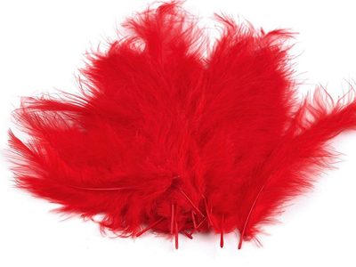 Pštrosí peří délka 9-16 cm{% if variant.name %} – 5 červená{% endif %}