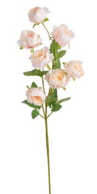 Umělá pivoňka čínská 72 cm - broskvová{% if product.brand.name %} – Canea{% endif %}