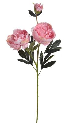 Pivoňka velká 72 cm - růžová{% if product.brand.name %} – Canea{% endif %}
