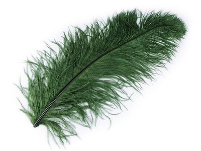 Pštrosí peří délka 60 cm - 16 zelená tmavá