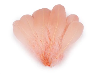 Husí peří délka 14-18 cm 10 kusů{% if variant.name %} – 5 meruňková{% endif %}