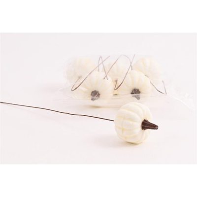 Dýně na drátku 6ks 371382 - dia 4 x 3 cm{% if product.brand.name %} – Morex{% endif %}