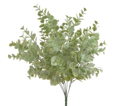 Eukalyptus zelený{% if product.brand.name %} – Canea{% endif %}
