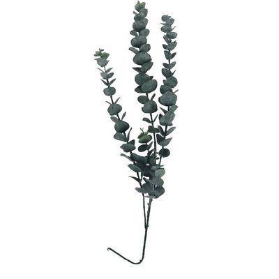 Umělý eukalyptus X4926 - 12 x 4 x 70 cm{% if product.brand.name %} – Morex{% endif %}