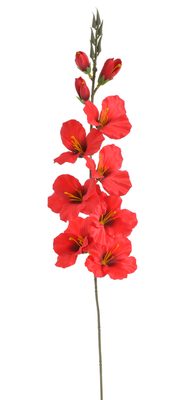 Umělý mečík červený 77 cm{% if product.brand.name %} – Canea{% endif %}
