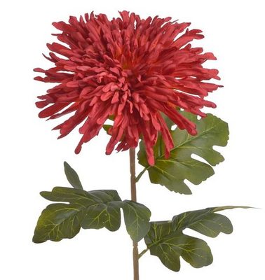 Chryzantéma 72 cm - červená s oranžovým podbarvením – fotka 1