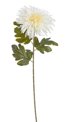 Chryzantéma 72 cm - bílá krémová{% if product.brand.name %} – Canea{% endif %}