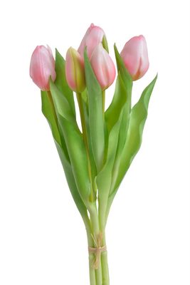 Svazek tulipánů 5 ks - světlá růžová{% if product.brand.name %} – Canea{% endif %}