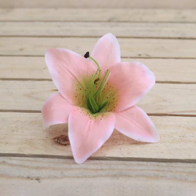 Květ lilie světle růžová, 12 kusů 371178-05{% if product.brand.name %} – Morex{% endif %}
