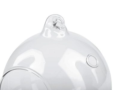 Skleněná koule Ø10 cm aerárium s plochým dnem{% if product.brand.name %} – Stoklasa{% endif %}