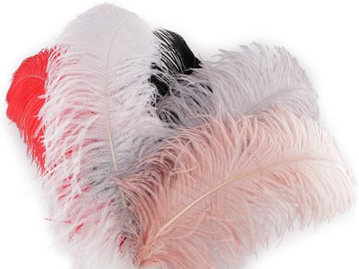 Pštrosí peří délka 50-55 cm{% if product.brand.name %} – Stoklasa{% endif %}
