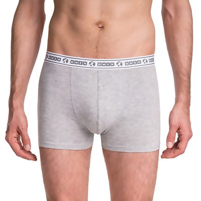 Pánské boxerky GREEN ECOSMART BOXER{% if variant.name %} – šedá - L{% endif %}