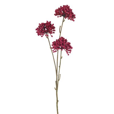 Okrasný česnek X6847-06 - 60 cm{% if product.brand.name %} – Morex{% endif %}