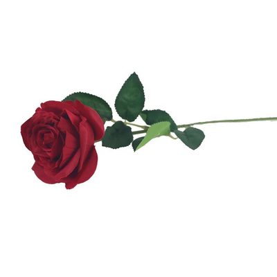 Umělá růže X4911-08 - dia 8 x 63 cm{% if product.brand.name %} – Morex{% endif %}