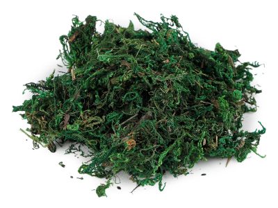 Dekorační mech 25 g{% if product.brand.name %} – Stoklasa{% endif %}