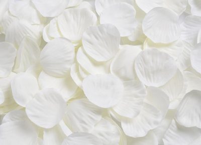 Plátky růží (25 g) - krémová{% if product.brand.name %} – Canea{% endif %}