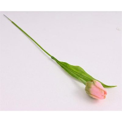 Umělý tulipán růžovozelený 371309-05 - 4 x 5 x 43 cm{% if product.brand.name %} – Morex{% endif %}