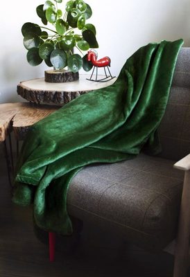 Deka mikroplyš super soft lahvově zelená Polyester, 150/200 cm – fotka 1