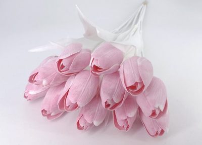 Tulipán s bílým listem 6 ks - růžová{% if product.brand.name %} – Canea{% endif %}