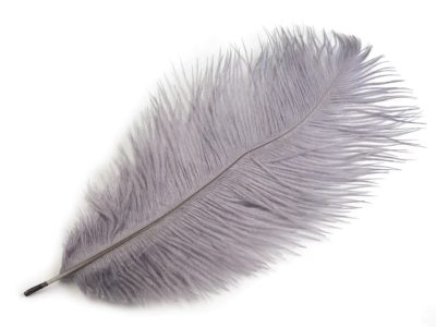 Pštrosí peří délka cca 20-25 cm 2 kusy{% if variant.name %} – 11 šedá holubí{% endif %}