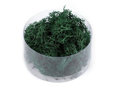 Stabilizovaný / preparovaný mech 20 g v krabičce{% if variant.name %} – 4 zelená tmavá{% endif %}