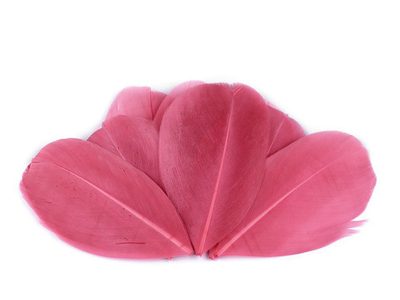 Husí peří délka 5,5-7 cm{% if variant.name %} – 3 růžová{% endif %}