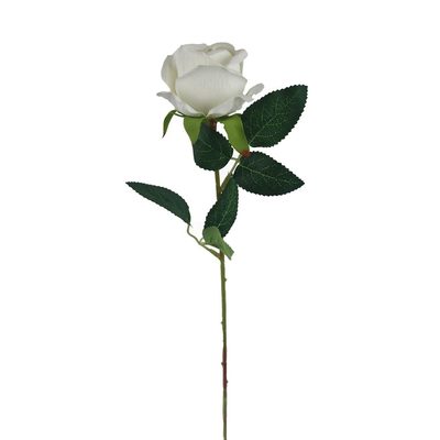 Růže bílá X5791-01 - dia 7 x 4,5 / 50 cm{% if product.brand.name %} – Morex{% endif %}