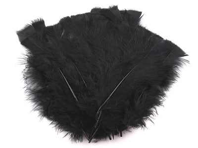 Krůtí peří délka 11-17 cm{% if variant.name %} – 5 černá{% endif %}