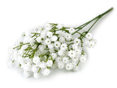Umělý nevěstin závoj{% if variant.name %} – 2 krémová nejsvět.{% endif %}