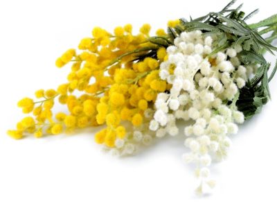 Umělá mimóza k aranžování{% if product.brand.name %} – Stoklasa{% endif %}