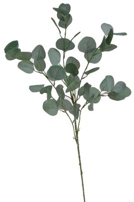 Eukalyptus 90 cm - zelená tmavší 90cm{% if product.brand.name %} – Canea{% endif %}