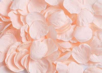 Plátky růží (25 g) - meruňková{% if product.brand.name %} – Canea{% endif %}