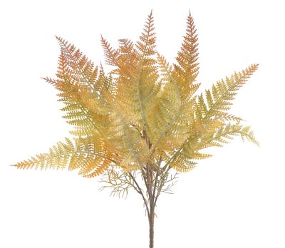 Kapradina trs 43 cm - zelená/oranžová{% if product.brand.name %} – Canea{% endif %}