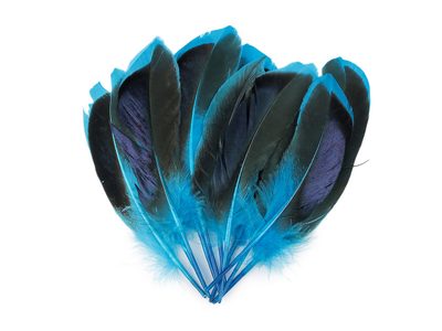 Kachní peří délka 13-15 cm{% if variant.name %} – 3 modrá tyrkys{% endif %}