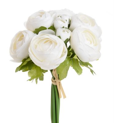 Ranunculus pryskyřník svazek - smetanová{% if product.brand.name %} – Canea{% endif %}