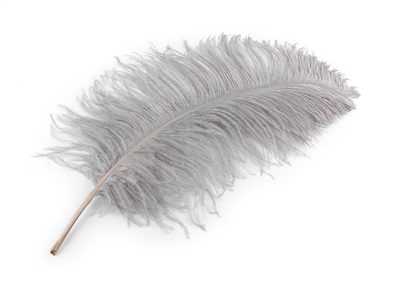 Pštrosí peří délka 50-55 cm{% if variant.name %} – 3 šedá světlá{% endif %}