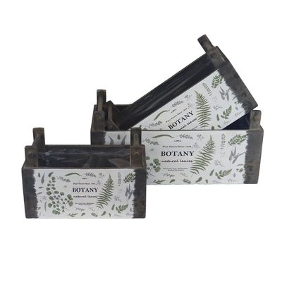 Dřevěný obal s plastem D7071/A - 23 cm{% if product.brand.name %} – {% endif %}
