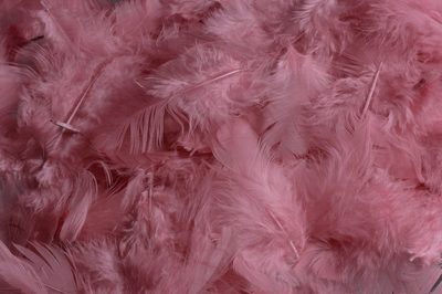 Peří růžová vintage 10g{% if product.brand.name %} – Canea{% endif %}