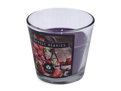 Vonná svíčka ve skle{% if variant.name %} – 3 (forest berries) borůvková{% endif %}