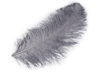 Pštrosí peří délka 60 cm{% if variant.name %} – 13 šedá{% endif %}