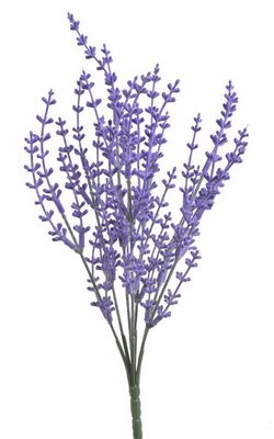 Uměl levandule trs 36 cm{% if product.brand.name %} – Canea{% endif %}