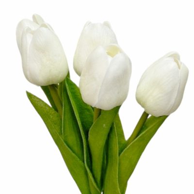 Tulipán pěnový (5 ks) - bílá se zeleným nádechem 30 cm – fotka 1