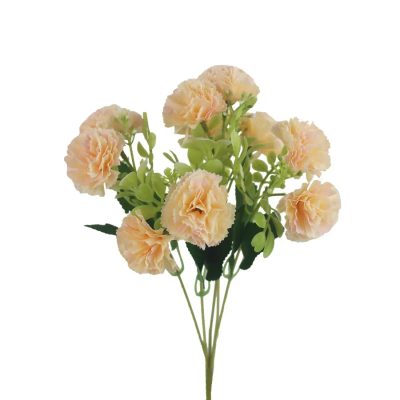 Karafiát X6948-06{% if product.brand.name %} – {% endif %}