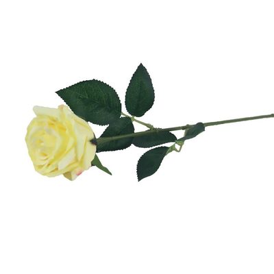 Umělá růže X4911-02 - dia 8 x 63 cm{% if product.brand.name %} – Morex{% endif %}