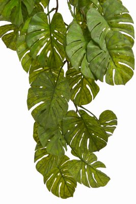 Převis monstera 95 cm - zelená – fotka 1