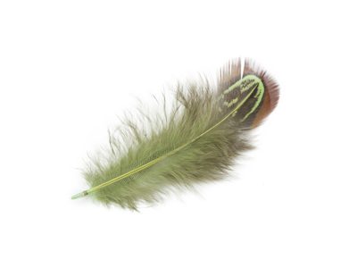 Bažantí peří délka 5-7 cm{% if product.brand.name %} – Stoklasa{% endif %}